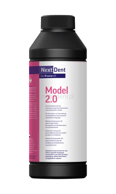 NextDent Model 2.0/Grey
